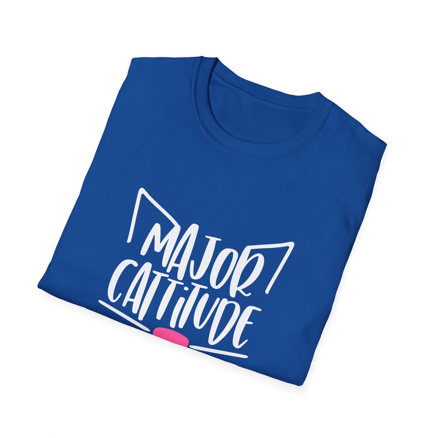 12 - MAJOR CATITUDE