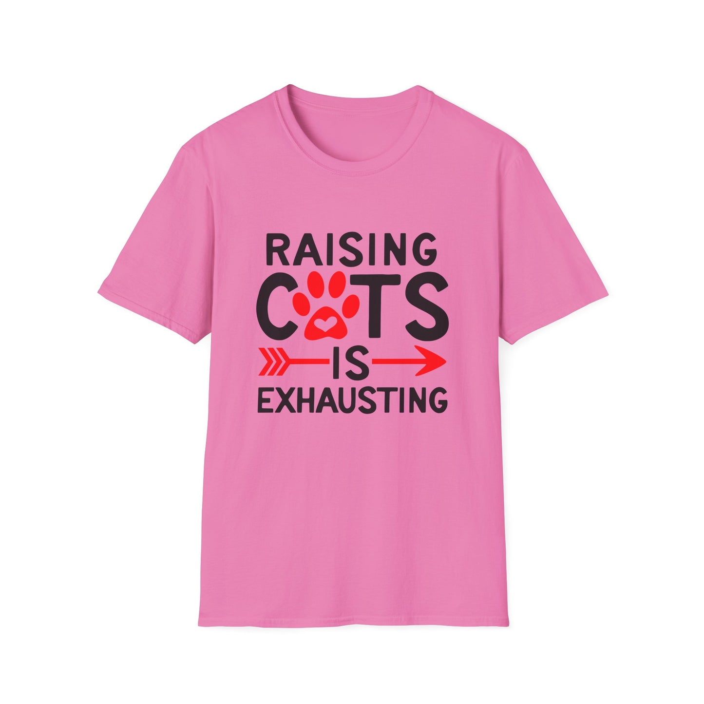 53 - RAISING CATS IS EXHAUSTING