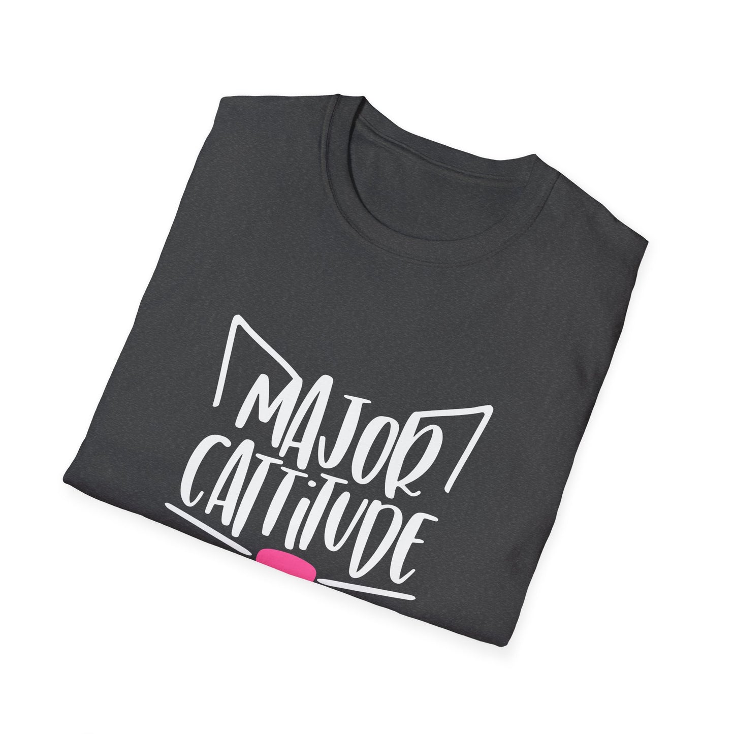 12 - MAJOR CATITUDE