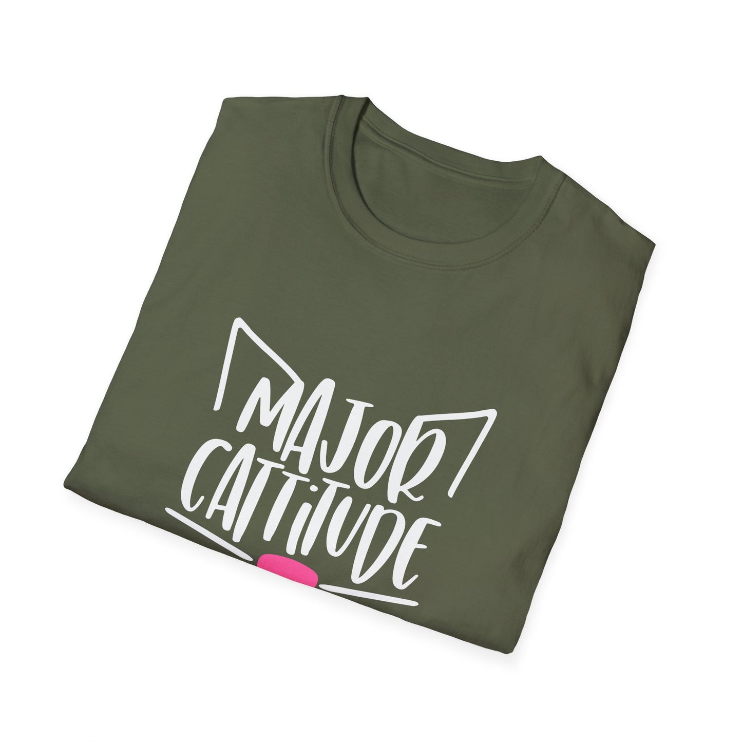 12 - MAJOR CATITUDE
