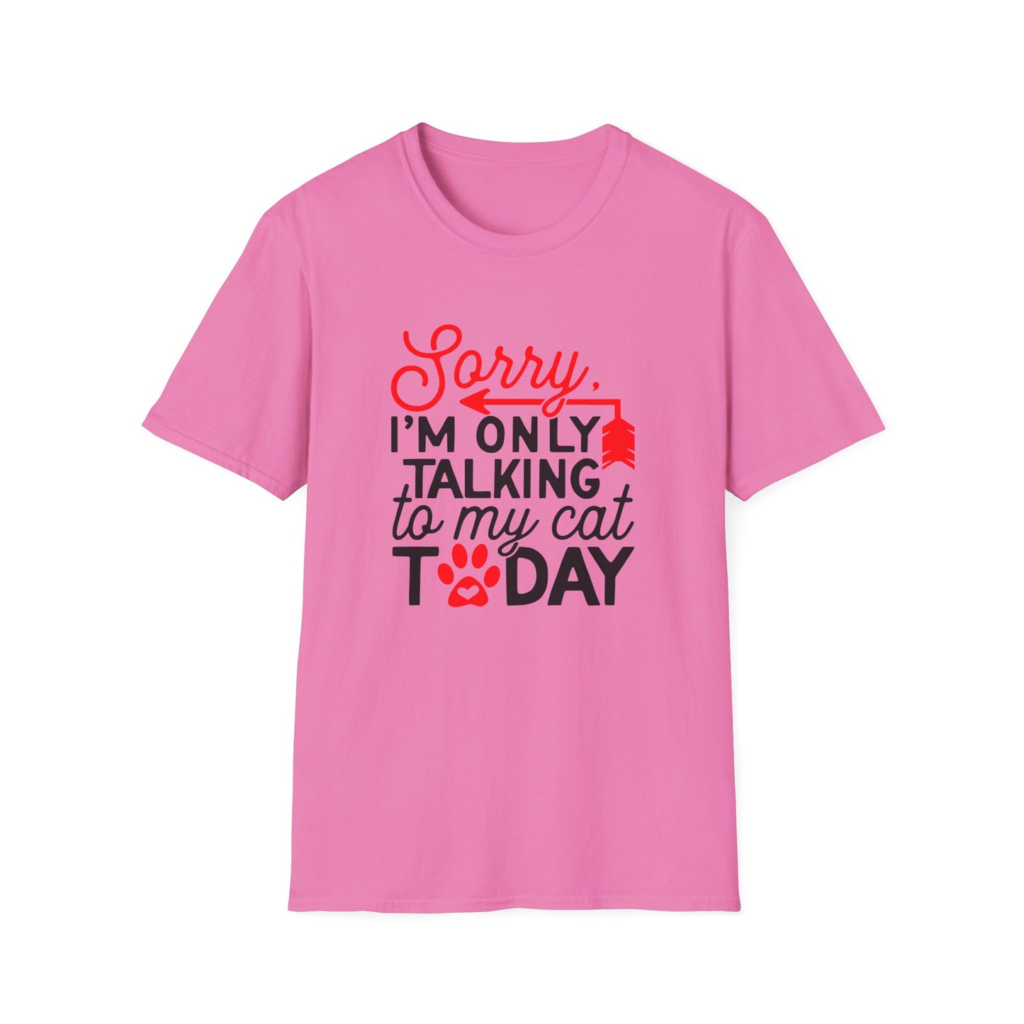 42 - SORRY IM ONLY TALKING TO MY CAT TODAY
