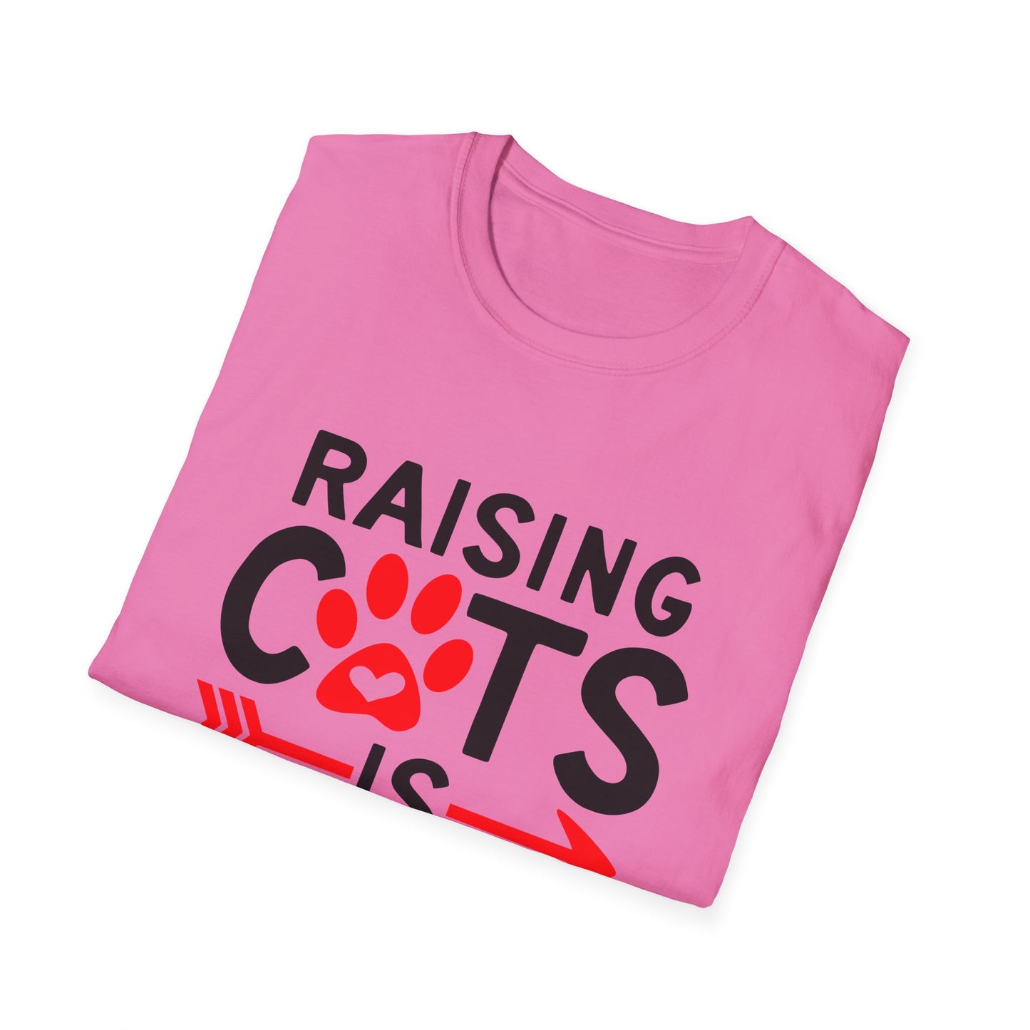 53 - RAISING CATS IS EXHAUSTING