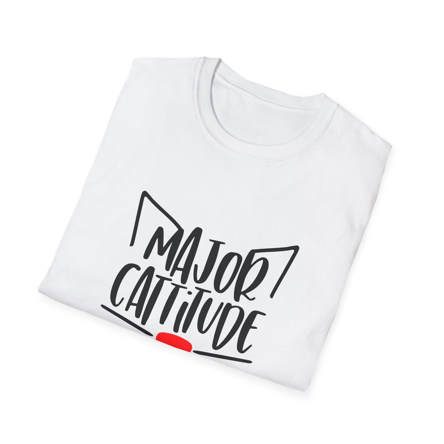 12 - MAJOR CATITUDE
