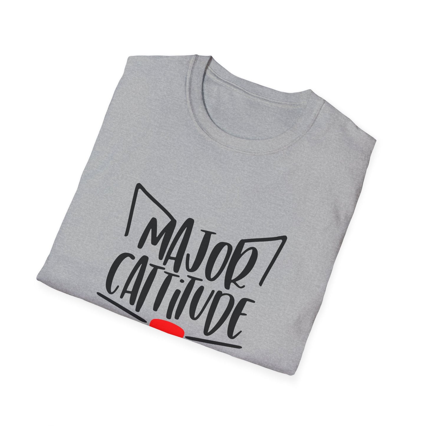 12 - MAJOR CATITUDE